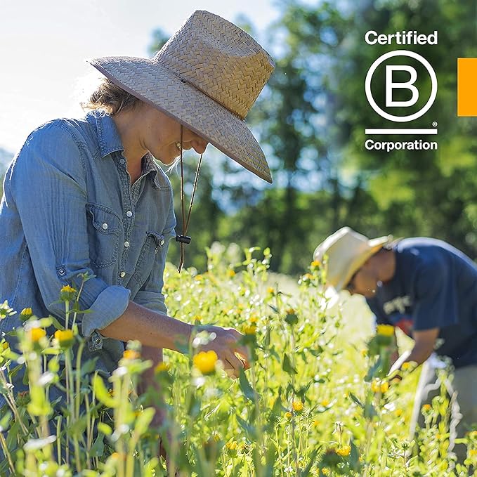 Herb Pharm Certified Organic Elder Liquid Extract - 1 Ounce (Pack of 2)