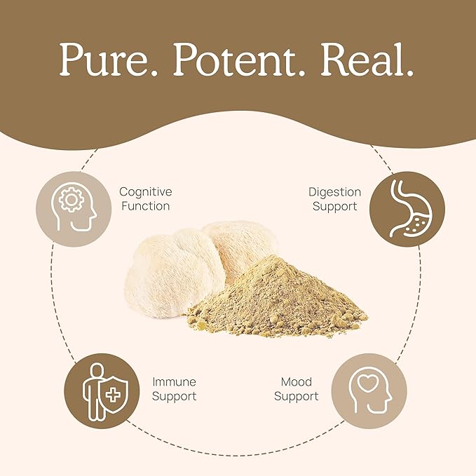 Lions Mane Mushroom Cognition (120 Capsules) Lions Mane Mushroom Powder Extract Capsules | Brain Supplement, Brain Vitamins, Focus Supplement