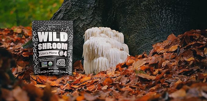 Wild Foods Lions Mane Powder Mushrooms Extract 10:1 | Organic Mushroom Powder | Adaptogenic Nootropic Herb for Brain Health, Memory and Focus(4 Ounce)
