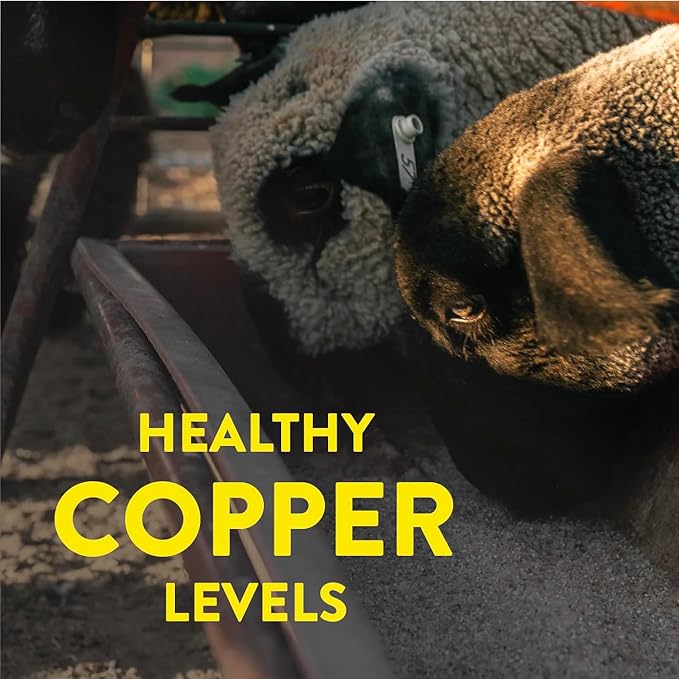 Redmond All Natural Sheep Mineral Supplement - Essential Trace Minerals for Overall Health and Growth Support - 5 lbs