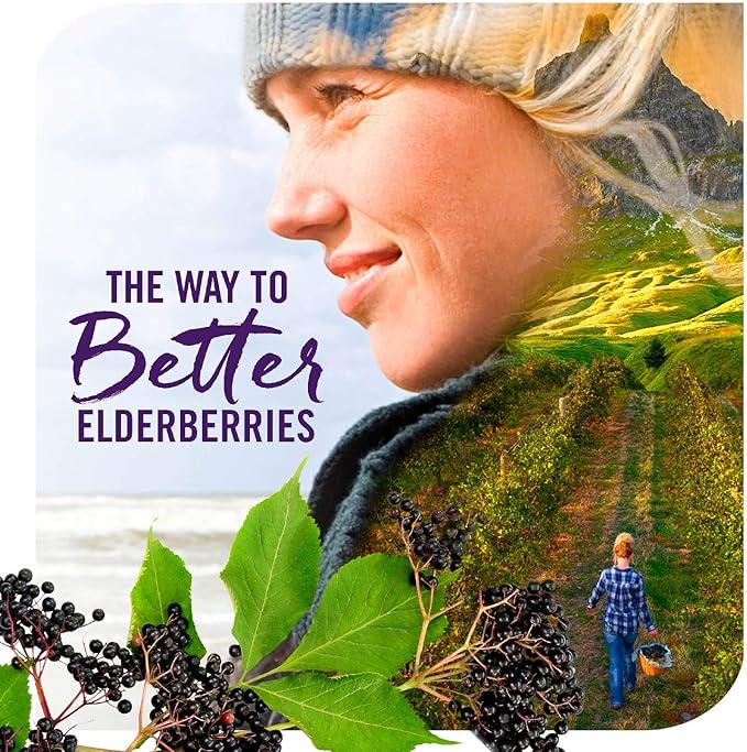 Nature’s Way Sambucus Zero Sugar Traditional Immune Syrup, Highly Concentrated Black Elderberry Extract, Traditional Immune Support*, Sugar-Free, Berry Flavored, 8 Fl Oz (Packaging May Vary)