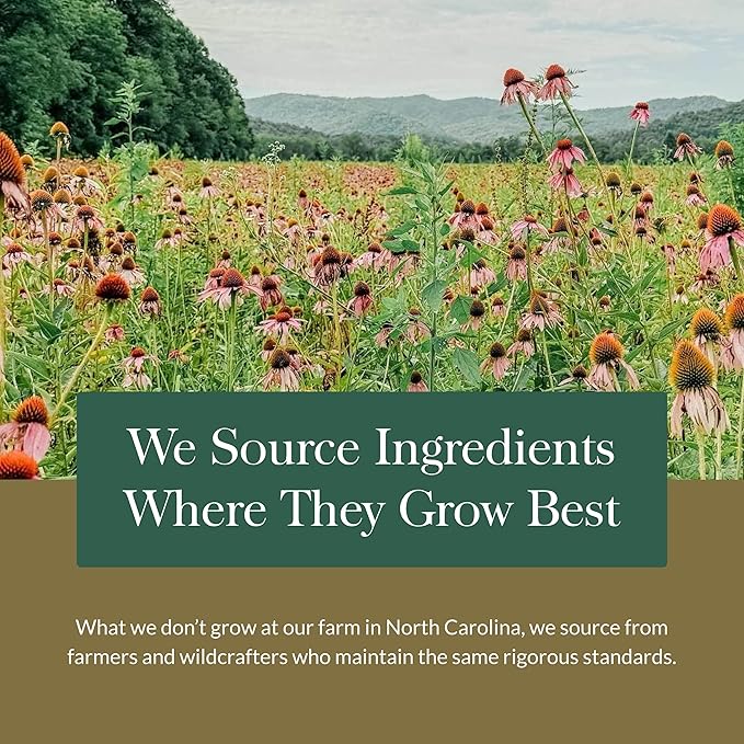 Gaia Herbs Turmeric Supreme Extra Strength - Supports Occasional Swelling from Normal Wear & Tear - with Turmeric Curcumin & Black Pepper - 180 Vegan Liquid Phyto-Capsules (Up to 180-Day Supply)