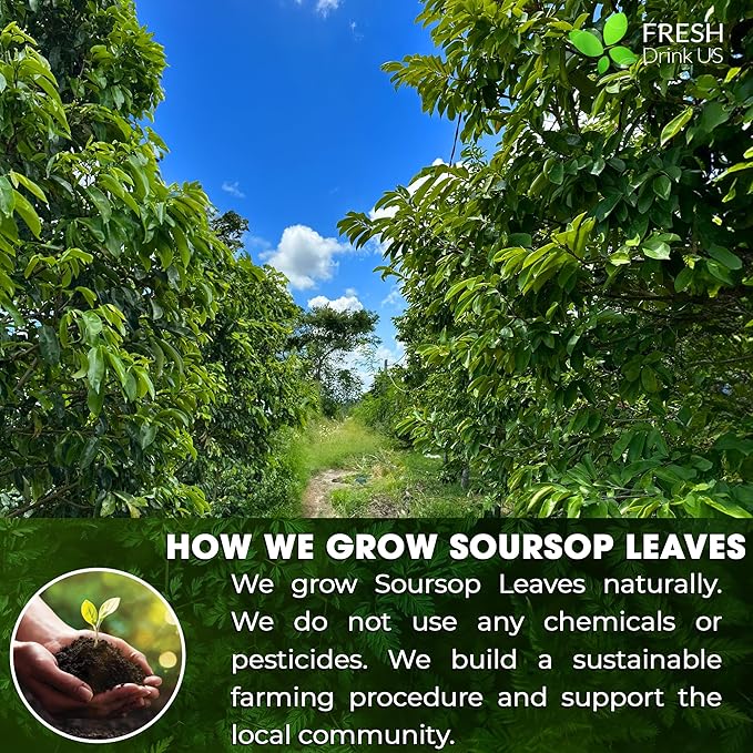 FRESHDRINKUS 4.5oz Soursop Leaf Powder, 100% Natural and Pure from Soursop Graviola Leaves, Soursop Leaf Tea, No Additives, No Gluten, No Sugar, Vegan